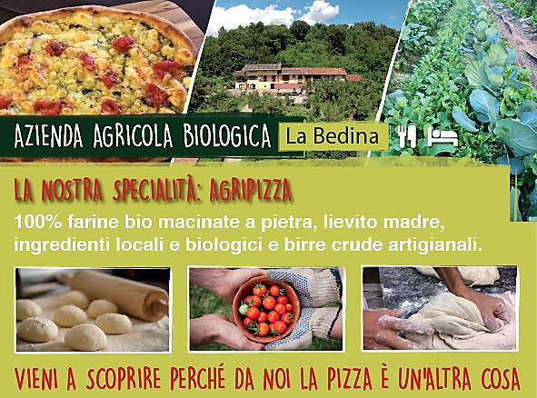 la pizza è un'altra cosa la pizza è un'altra cosa